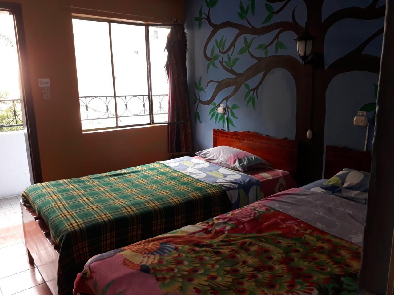 巴尼奥斯 特兰西瓦旅舍旅舍 外观 照片
